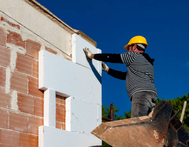 Best Insulation Contractor Near Me  in Corona De Tucson, AZ