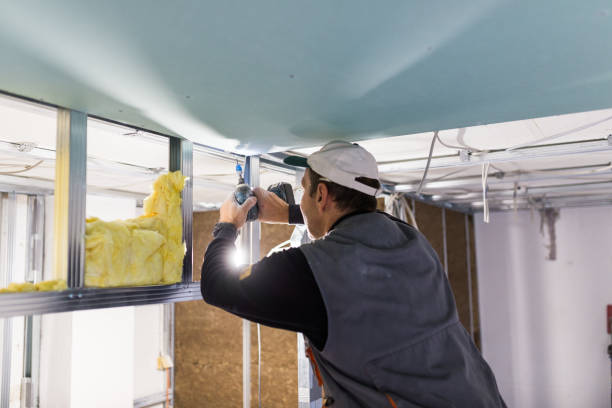 Insulation Inspection Services in Corona De Tucson, AZ