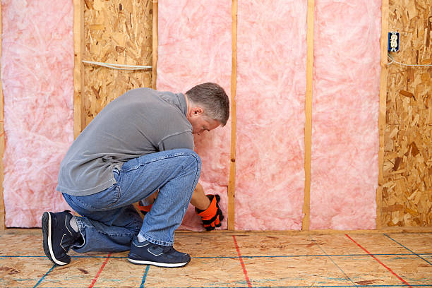 Best Blown-in Insulation  in Corona De Tucson, AZ